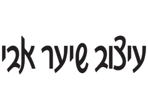 עיצוב שיער אבי